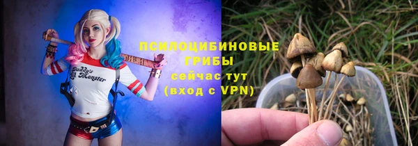 ALPHA PVP Майский