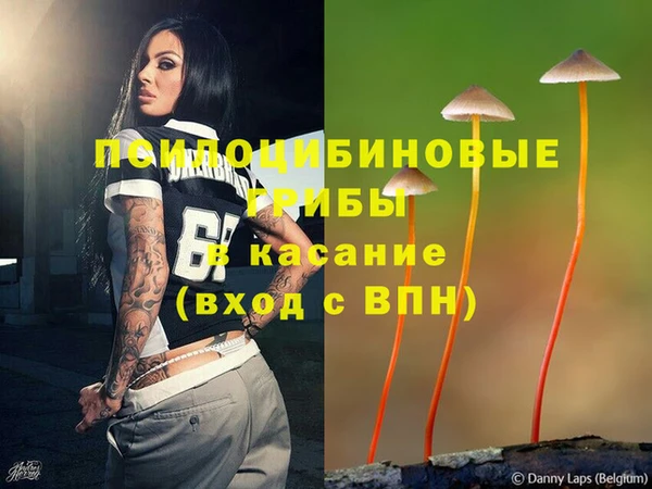ALPHA-PVP Анжеро-Судженск