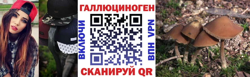 hydra как зайти  Медвежьегорск  Псилоцибиновые грибы GOLDEN TEACHER  закладки 